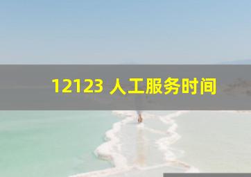 12123 人工服务时间